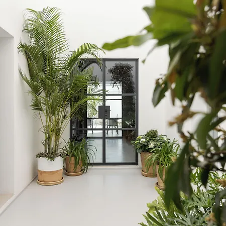 Palazzo Console Bed & Breakfast