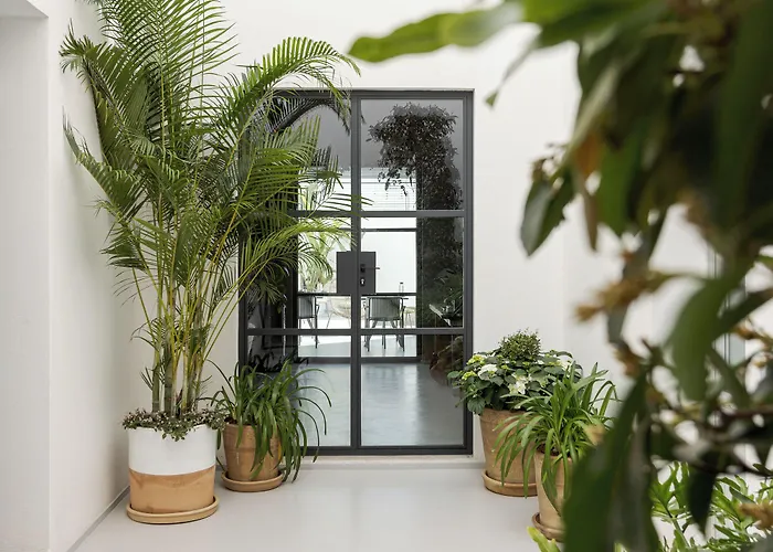 Palazzo Console לינה וארוחת בוקר