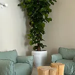 Palazzo Console 4* ليتشي