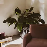 Palazzo Console 4* ليتشي