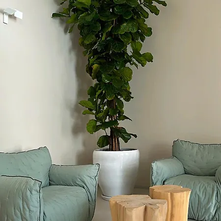 Palazzo Console 4* 레체