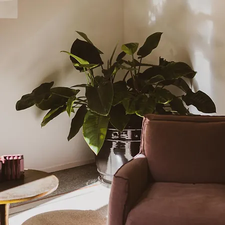 Palazzo Console 4* 레체